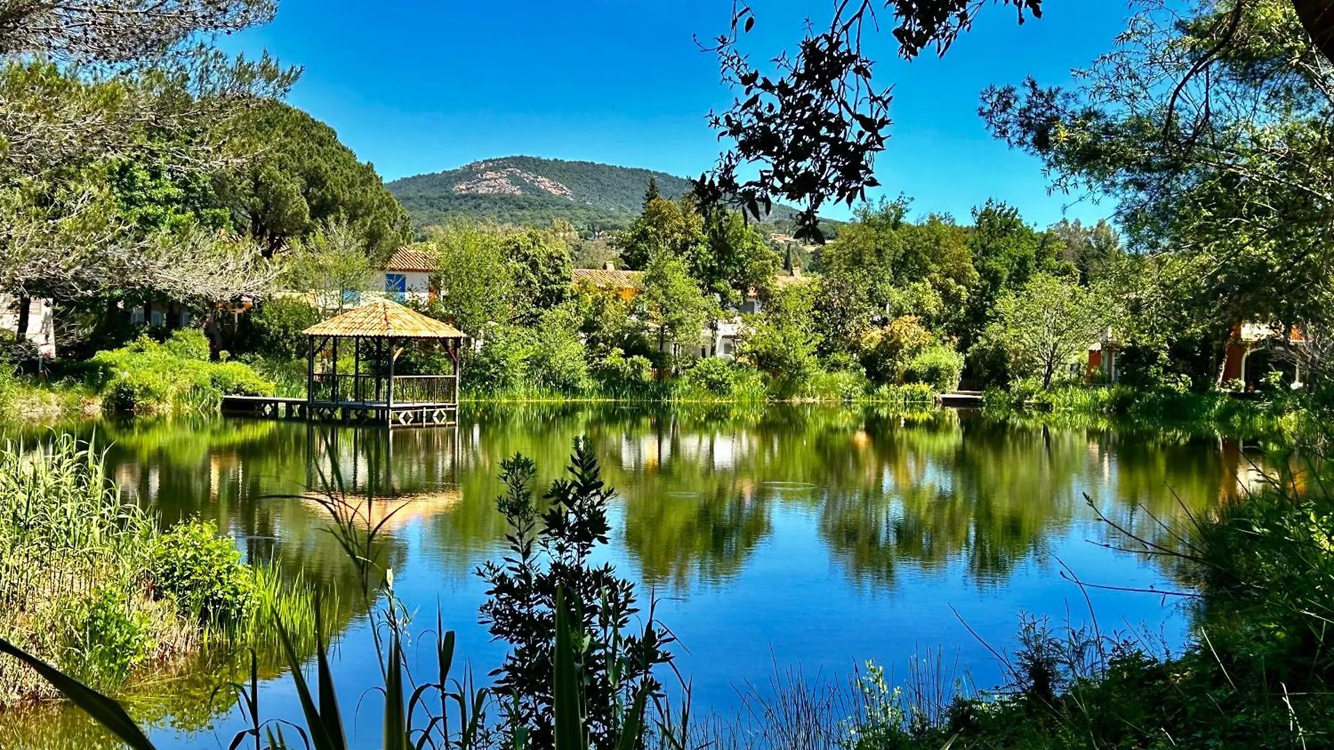 Les Restanques Iris 2124 Apartment Grimaud