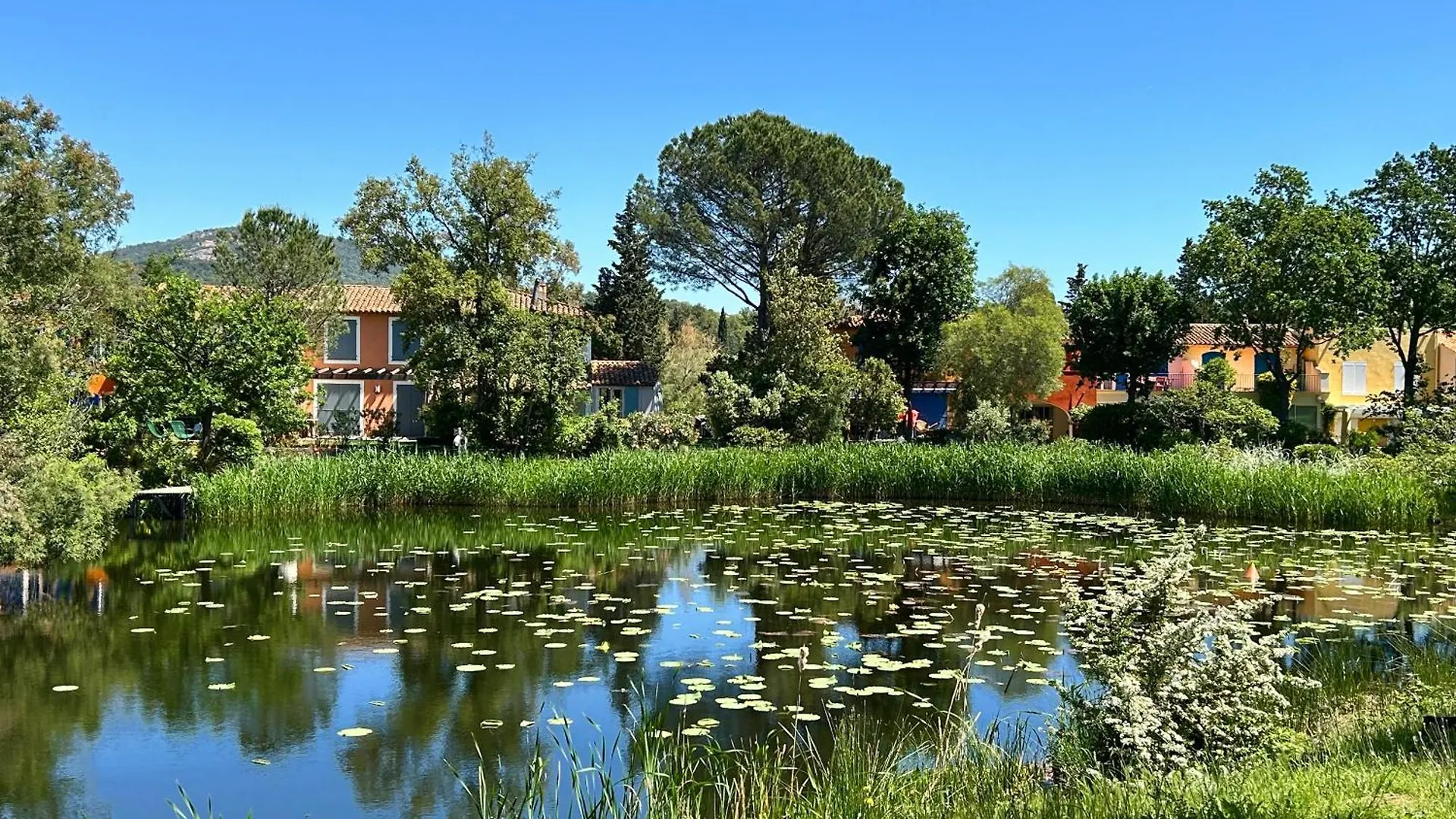 Les Restanques Iris 2124 Apartment Grimaud